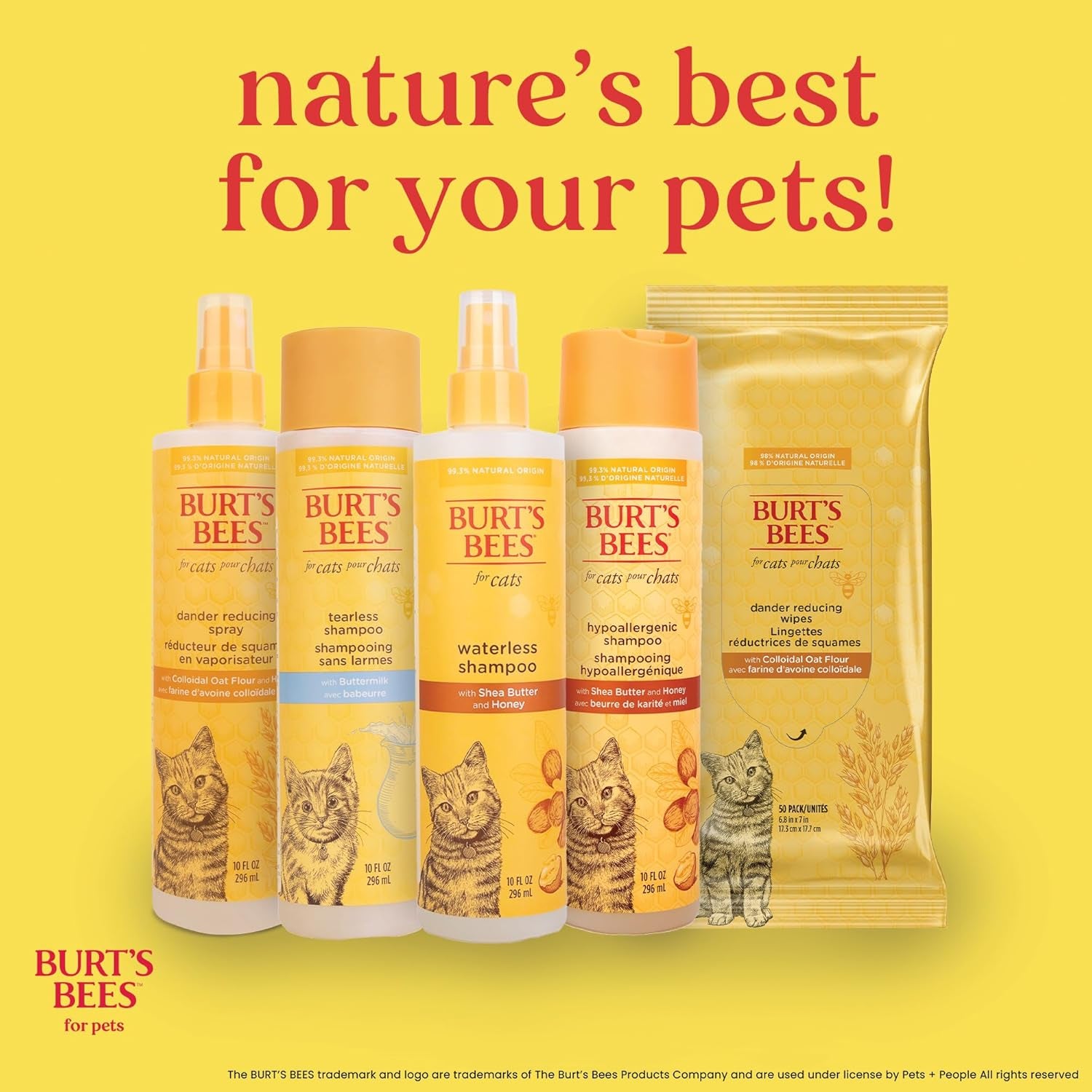 Cat Hypoallergenic Shampoo with Shea Butter & Honey | Moisturizing & Nourishing Cat Shampoo | Cruelty, Sulfate & Paraben Free, Ph Balanced for Cats - Made in USA, 10 Oz - 2 Pack